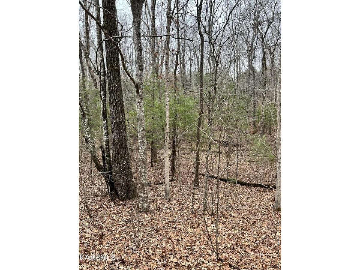 Picture of Residential Land For Rent in Crossville, Tennessee, United States