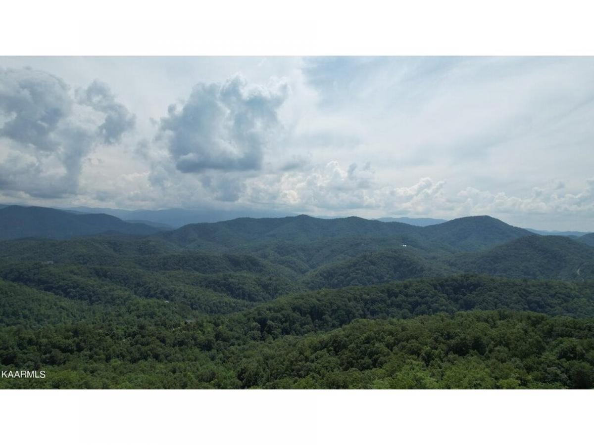 Picture of Residential Land For Sale in Sevierville, Tennessee, United States