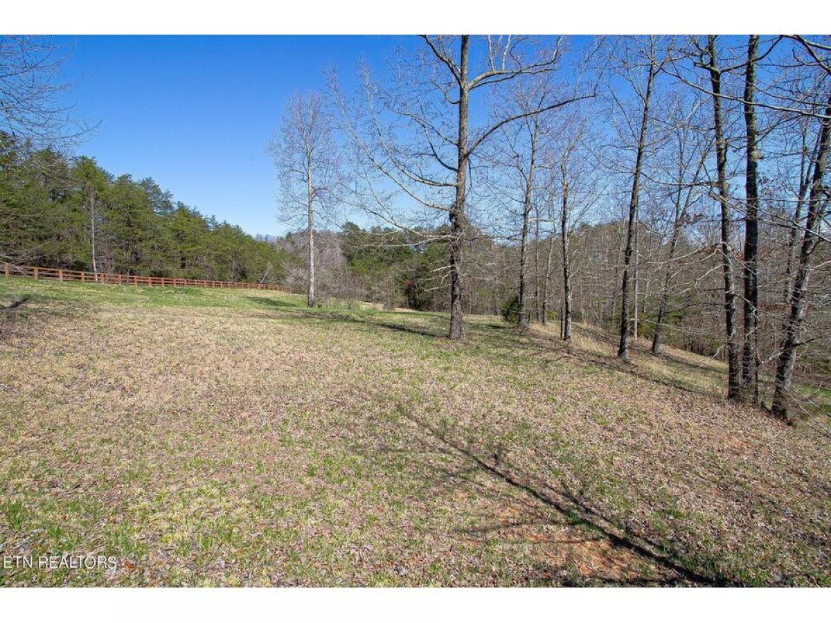 Picture of Residential Land For Sale in Madisonville, Tennessee, United States