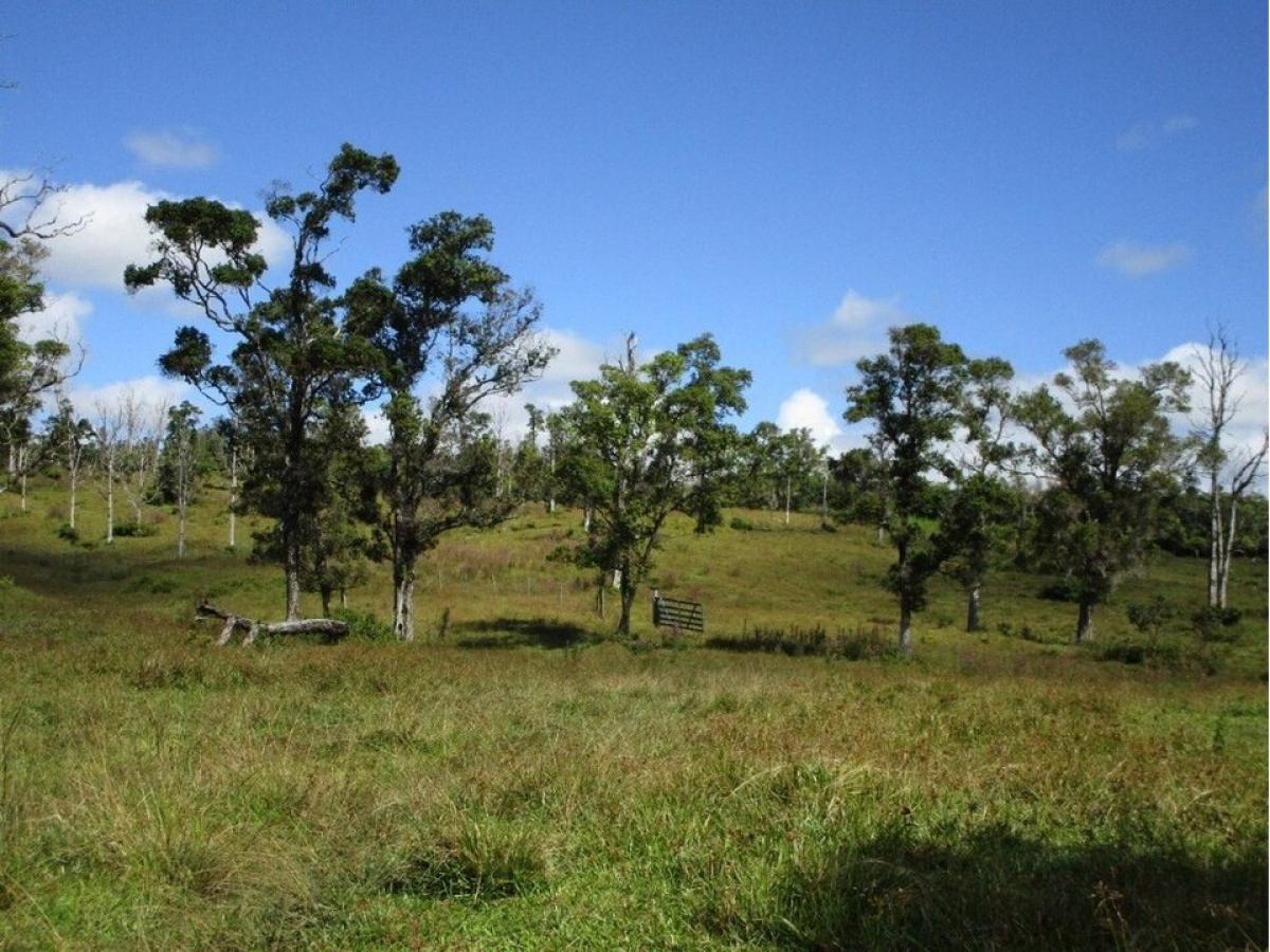 Picture of Residential Land For Sale in Pahoa, Hawaii, United States
