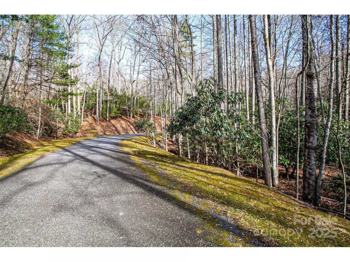 Picture of Residential Land For Sale in Brevard, North Carolina, United States