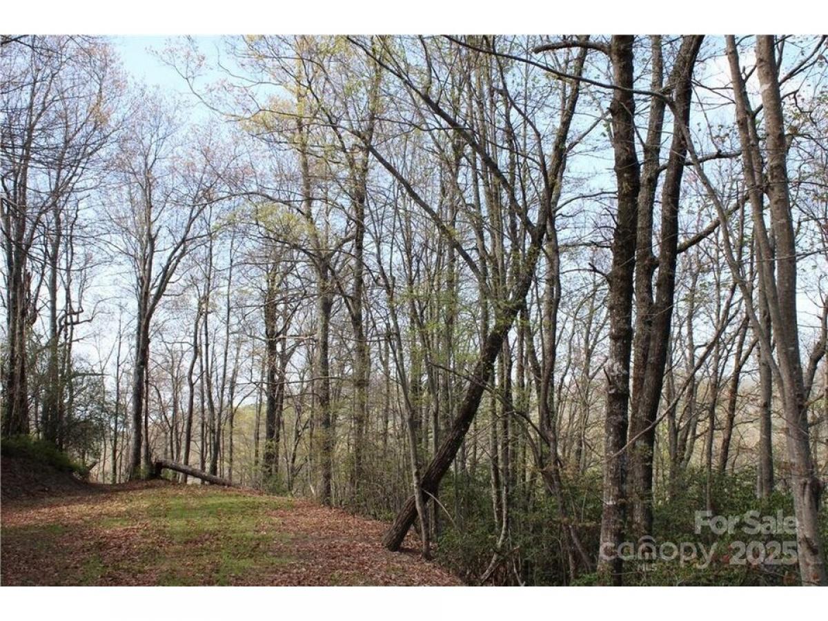 Picture of Residential Land For Sale in Rosman, North Carolina, United States