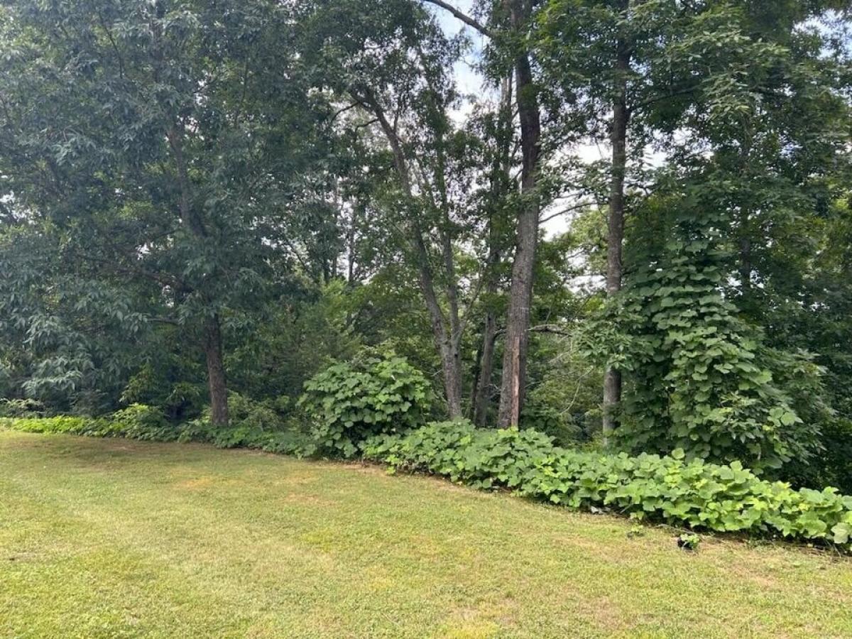 Picture of Residential Land For Sale in Tunnel Hill, Georgia, United States