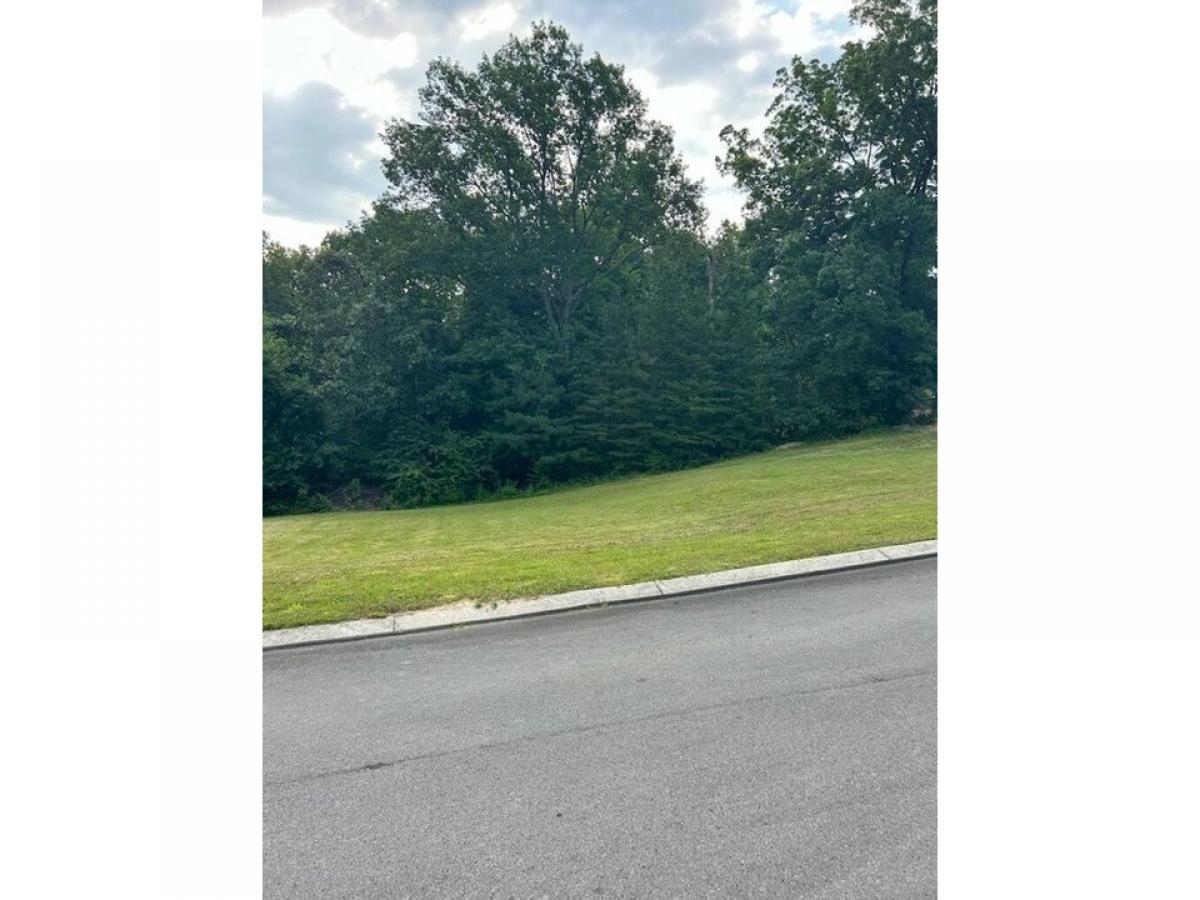 Picture of Residential Land For Sale in Tunnel Hill, Georgia, United States