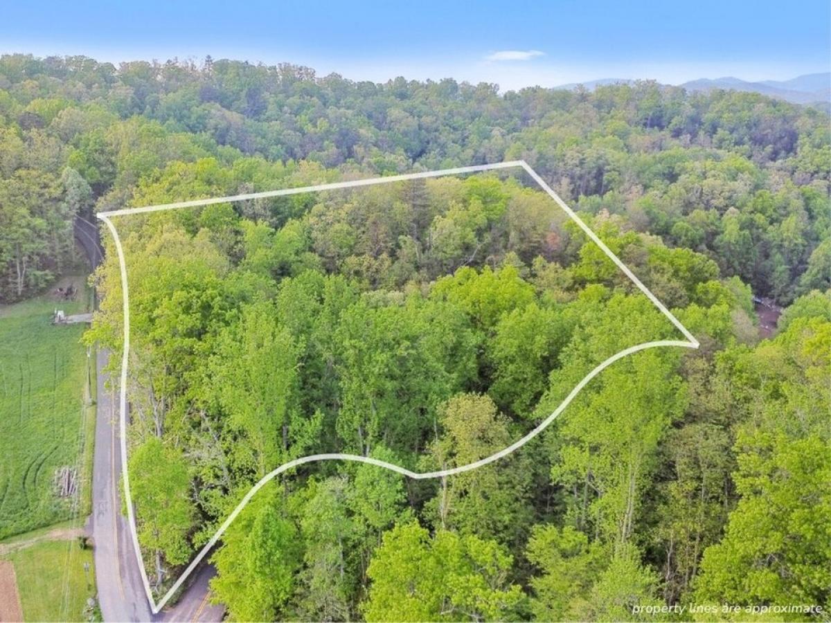 Picture of Residential Land For Sale in Sevierville, Tennessee, United States