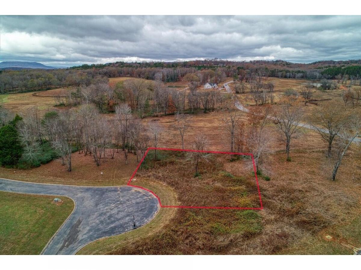 Picture of Residential Land For Sale in Jasper, Tennessee, United States