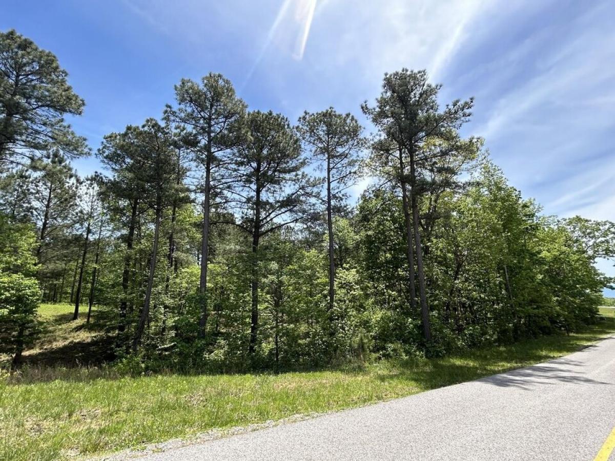Picture of Residential Land For Sale in Jasper, Tennessee, United States