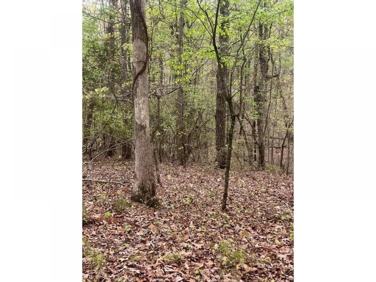 Picture of Residential Land For Sale in Soddy Daisy, Tennessee, United States