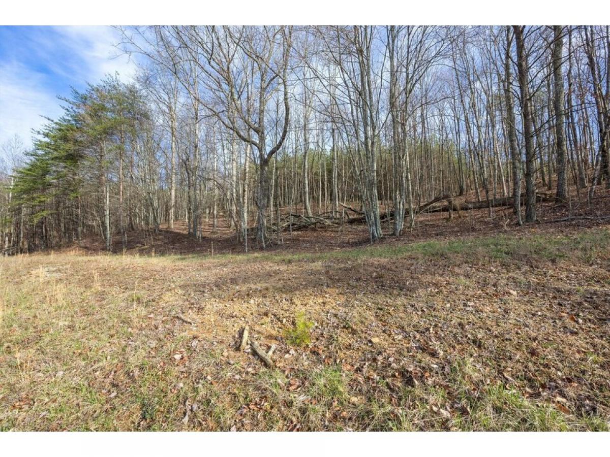 Picture of Residential Land For Sale in Jasper, Tennessee, United States
