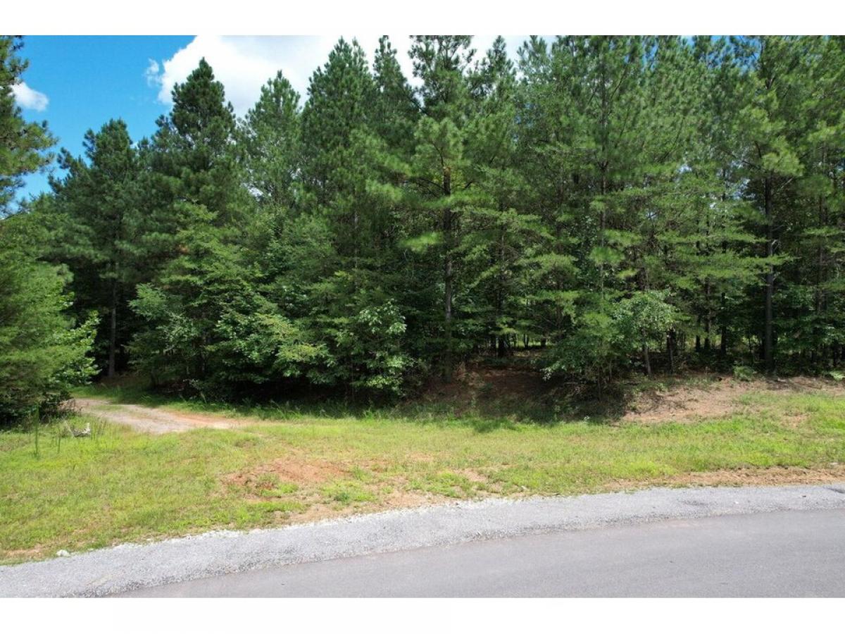 Picture of Residential Land For Sale in Jasper, Tennessee, United States