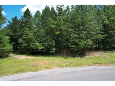 Residential Land For Sale in Jasper, Tennessee