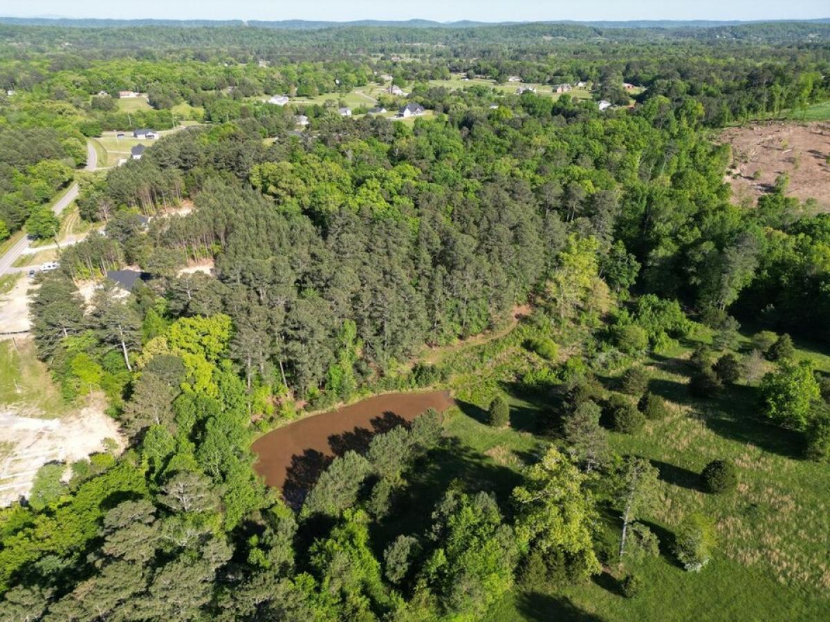Picture of Residential Land For Sale in Ringgold, Georgia, United States