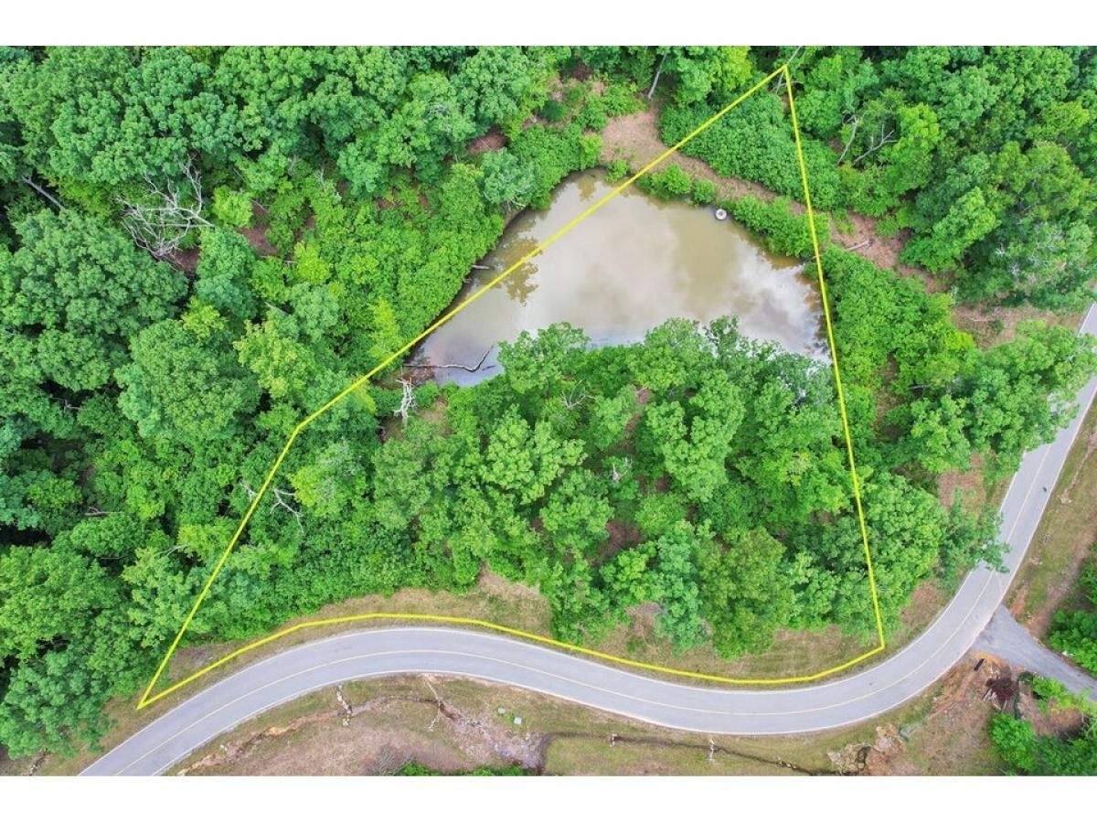 Picture of Residential Land For Sale in Jasper, Tennessee, United States
