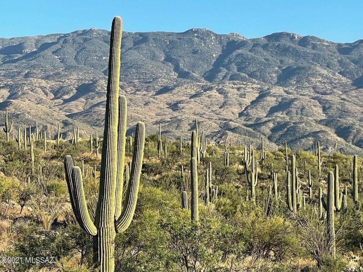 Picture of Residential Land For Sale in Tucson, Arizona, United States