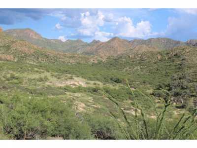 Residential Land For Sale in
