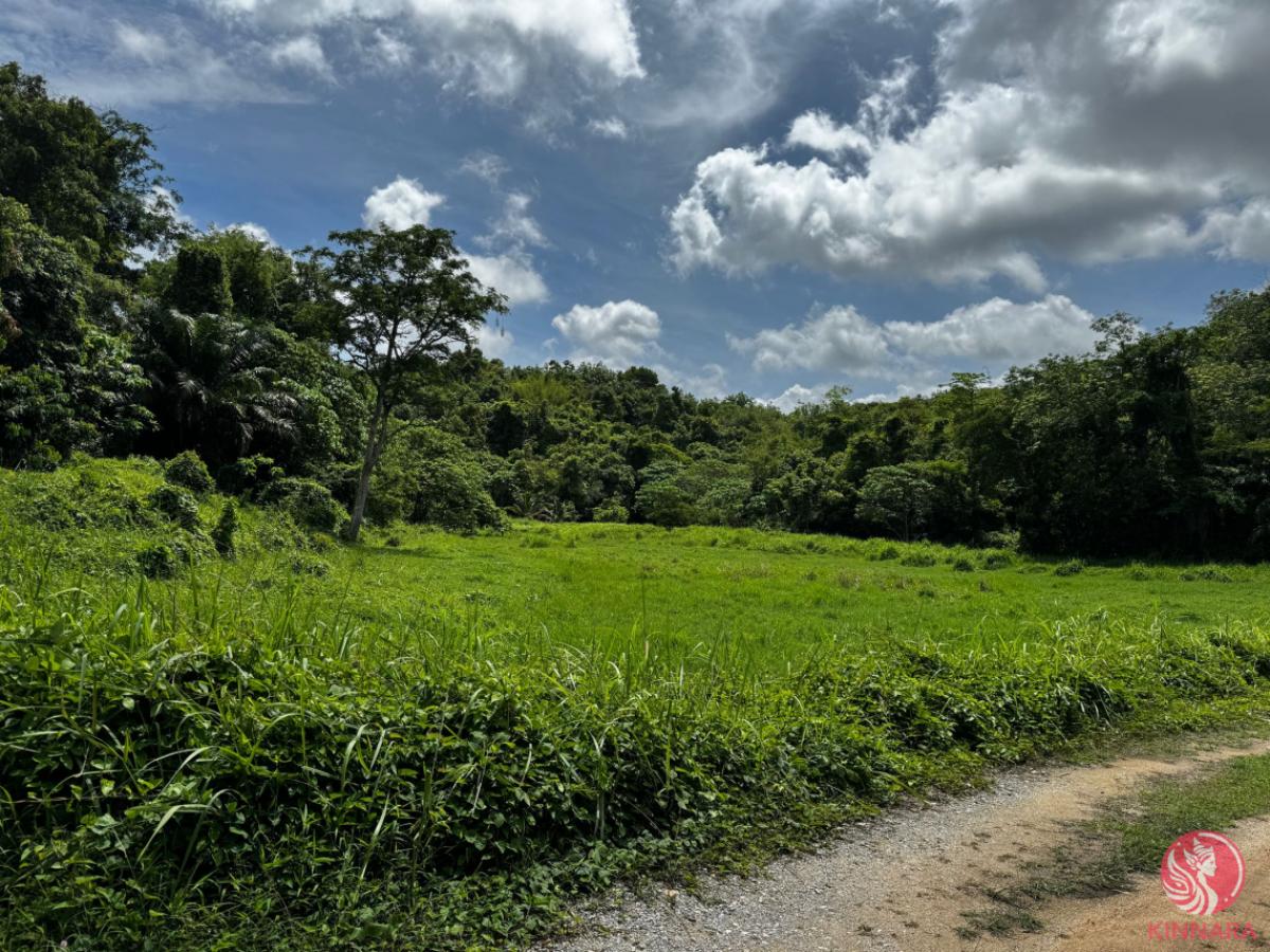 Picture of Residential Land For Sale in Layan, Phuket, Thailand