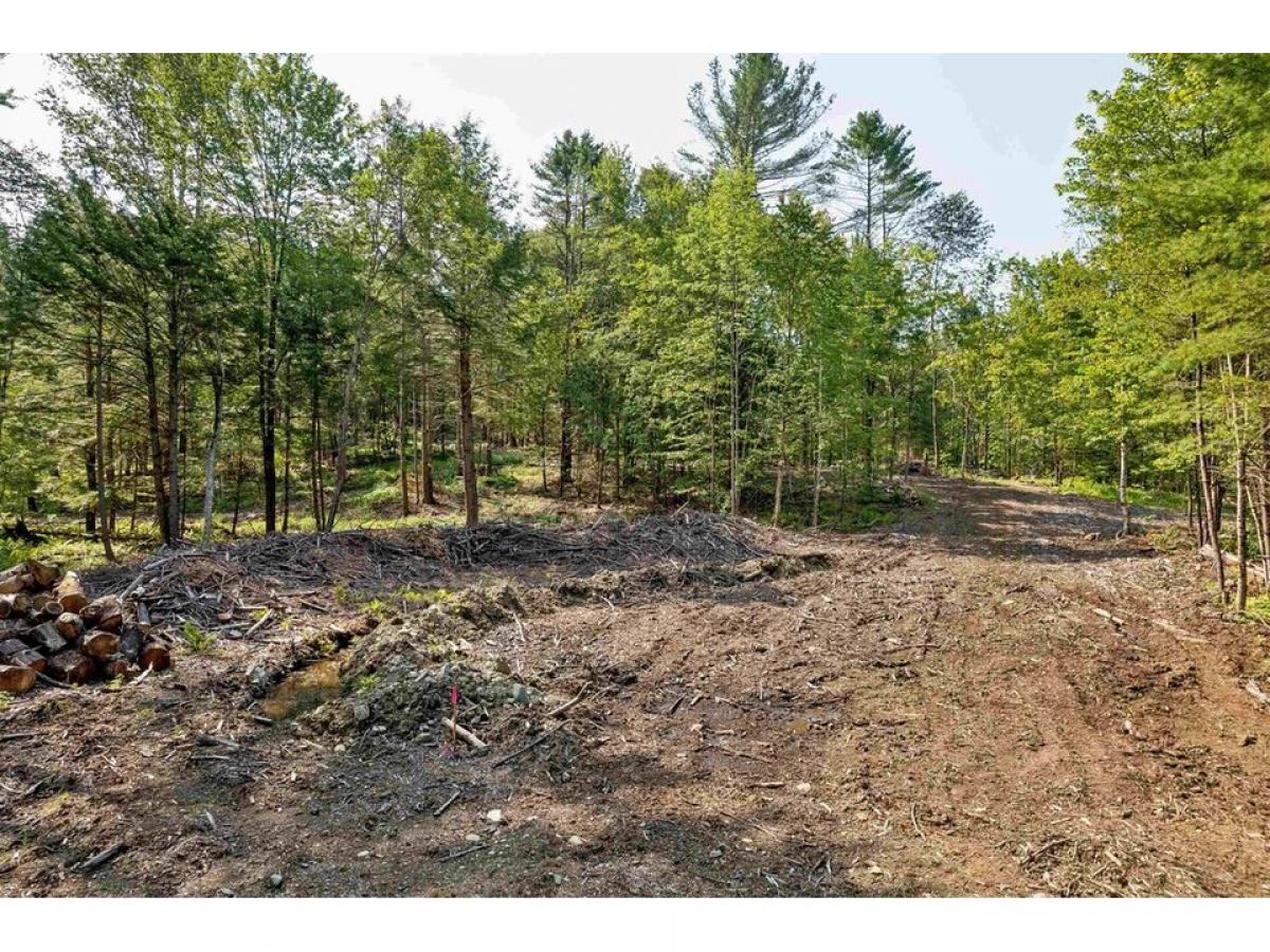 Picture of Residential Land For Sale in Haverhill, New Hampshire, United States