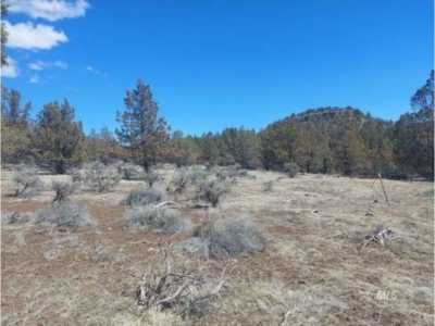 Residential Land For Rent in Alturas, California
