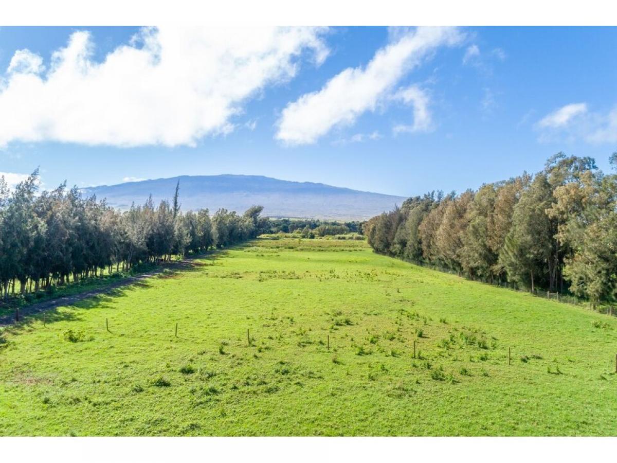 Picture of Residential Land For Sale in Kamuela, Hawaii, United States
