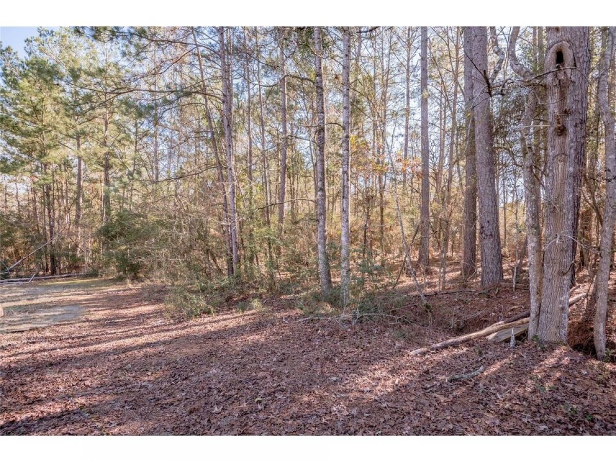 Picture of Residential Land For Rent in Trinity, Texas, United States