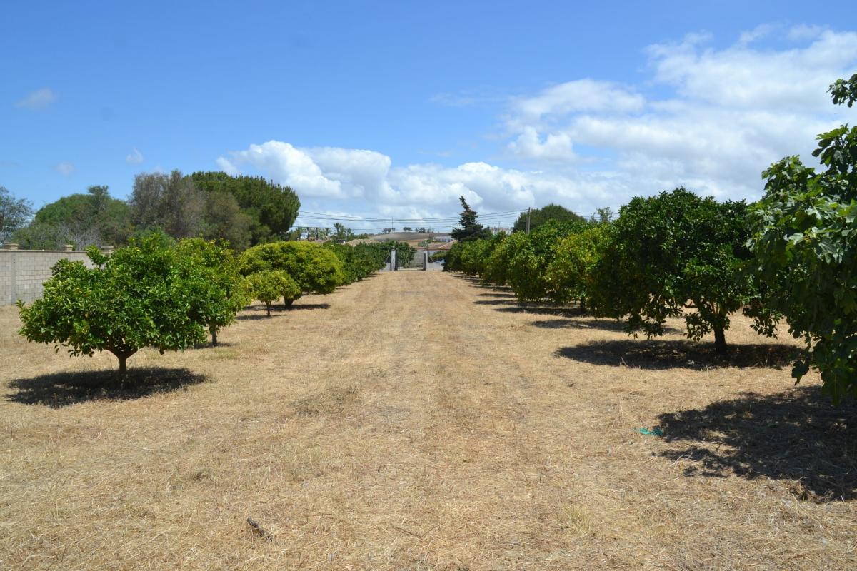 Picture of Residential Land For Sale in Chiclana, Cadiz, Spain