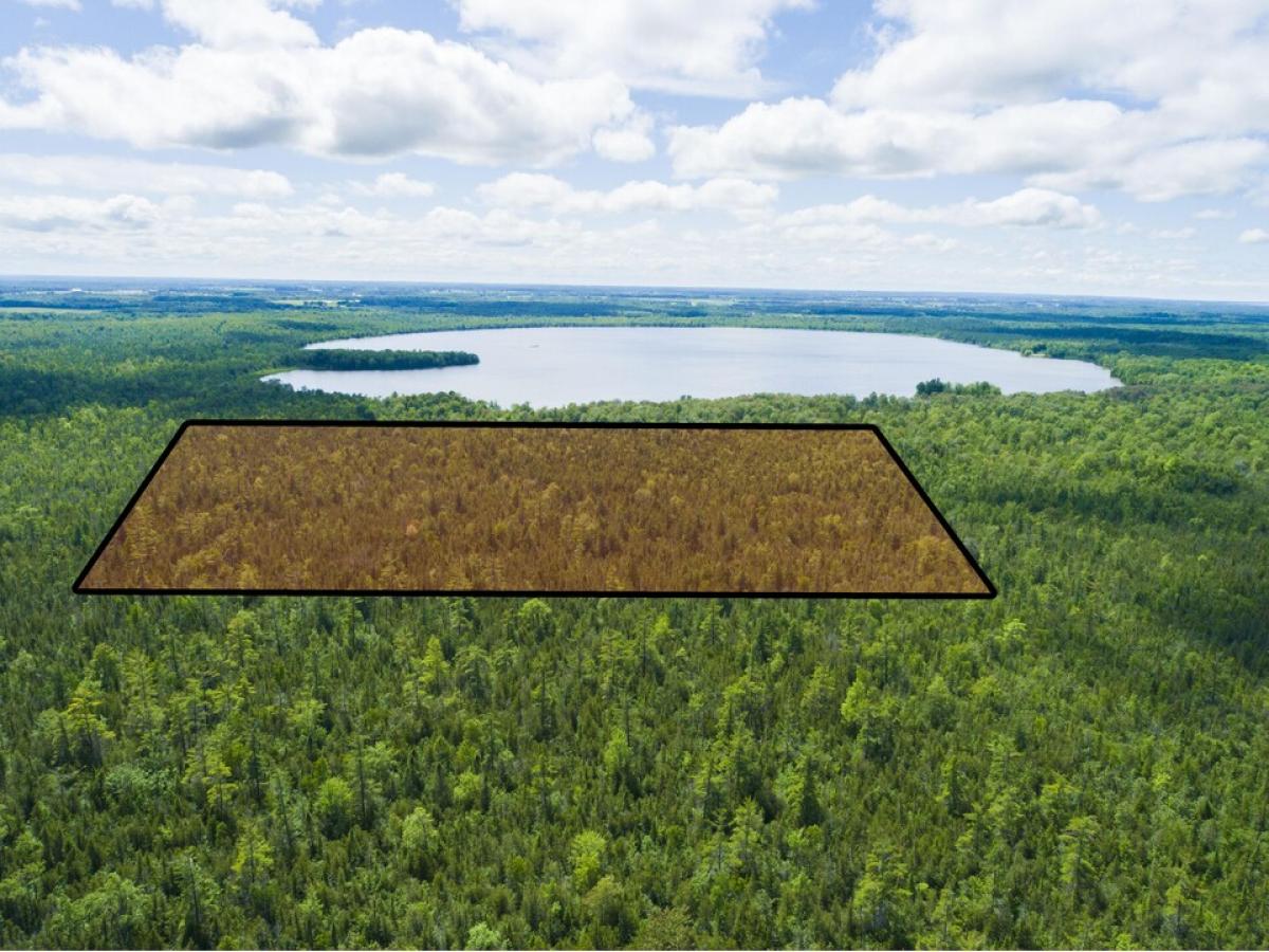 Picture of Residential Land For Sale in Posen, Michigan, United States