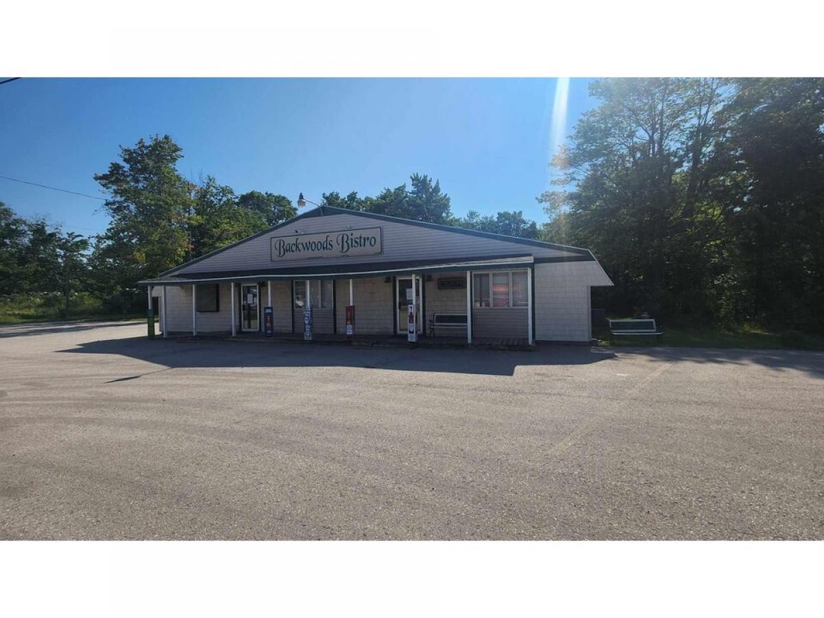 Picture of Home For Sale in Lincoln, Michigan, United States