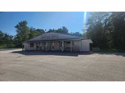 Home For Sale in Lincoln, Michigan