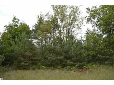 Residential Land For Sale in Mancelona, Michigan