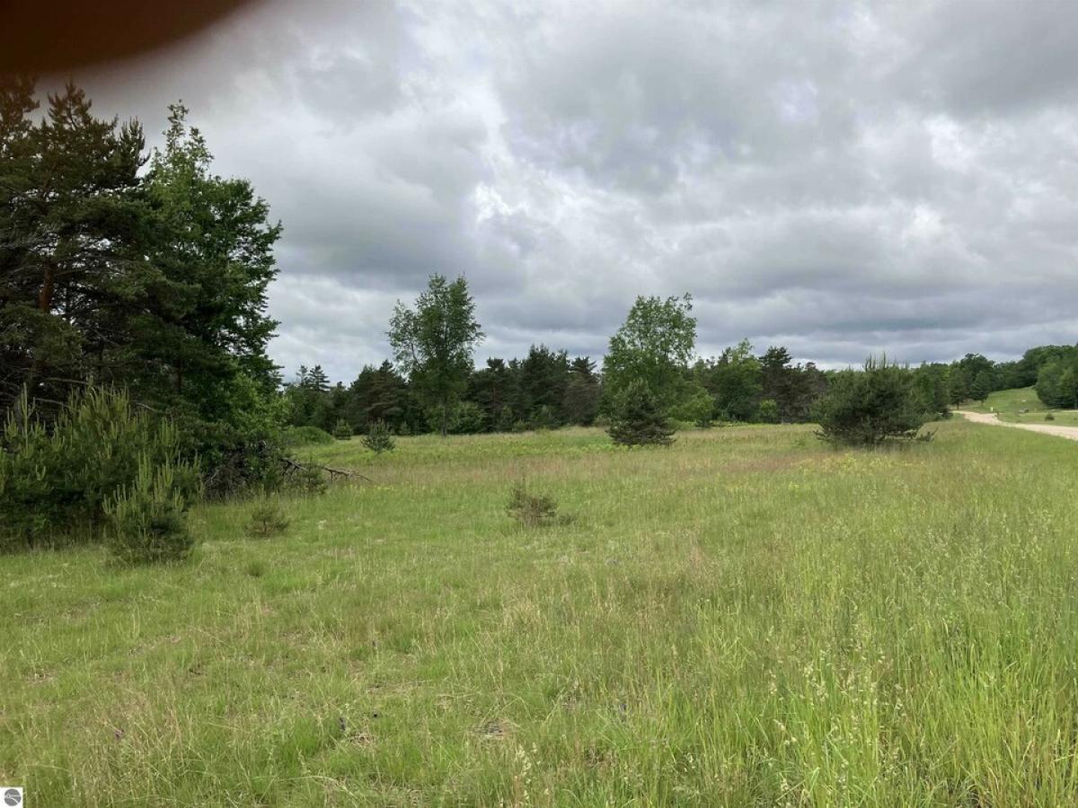 Picture of Residential Land For Sale in South Boardman, Michigan, United States