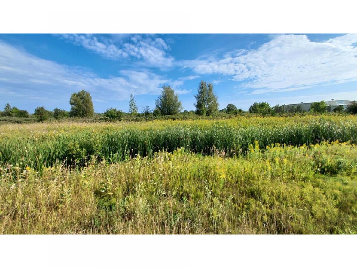 Picture of Home For Sale in Cheboygan, Michigan, United States