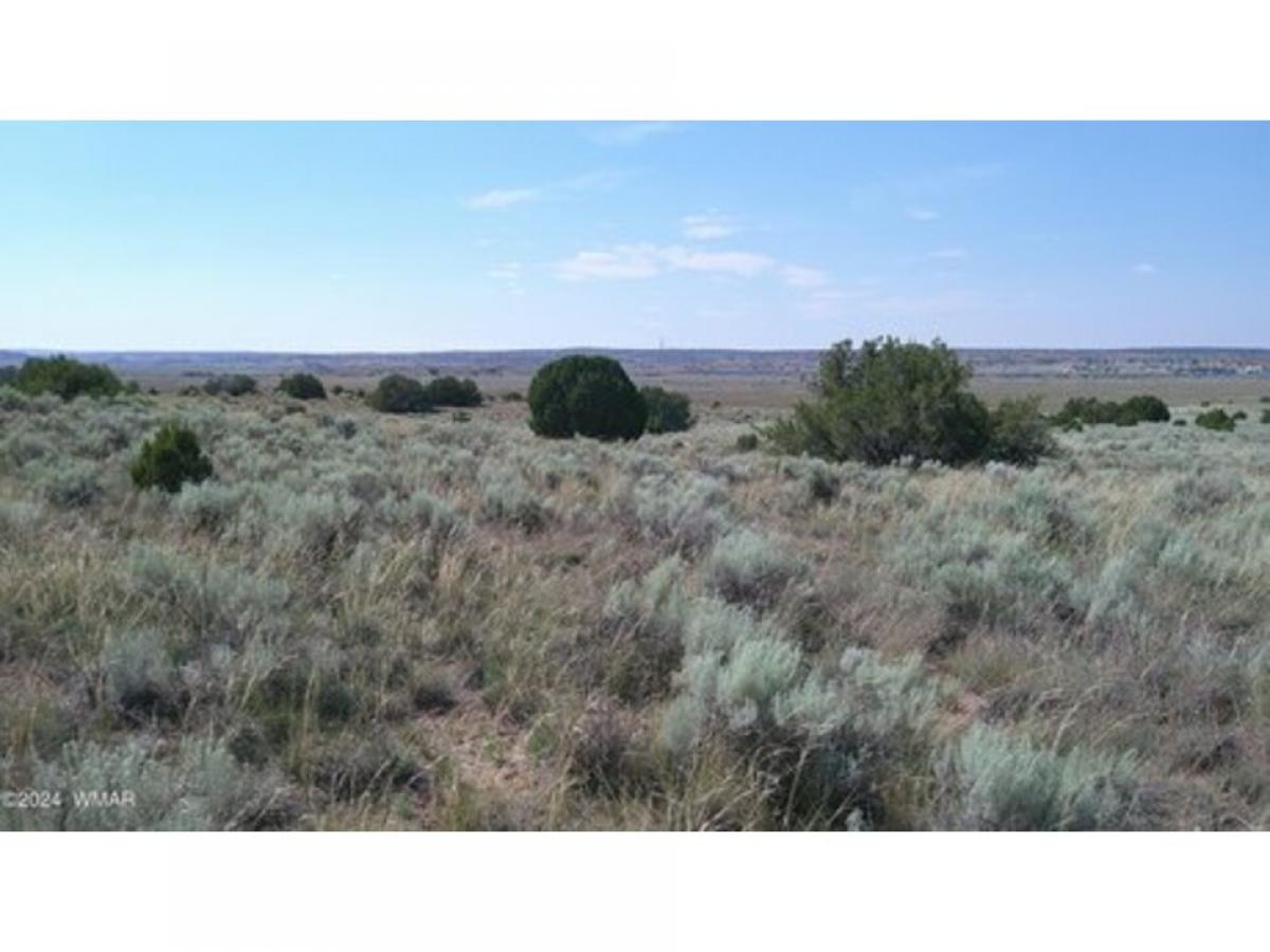 Picture of Residential Land For Sale in Sanders, Arizona, United States