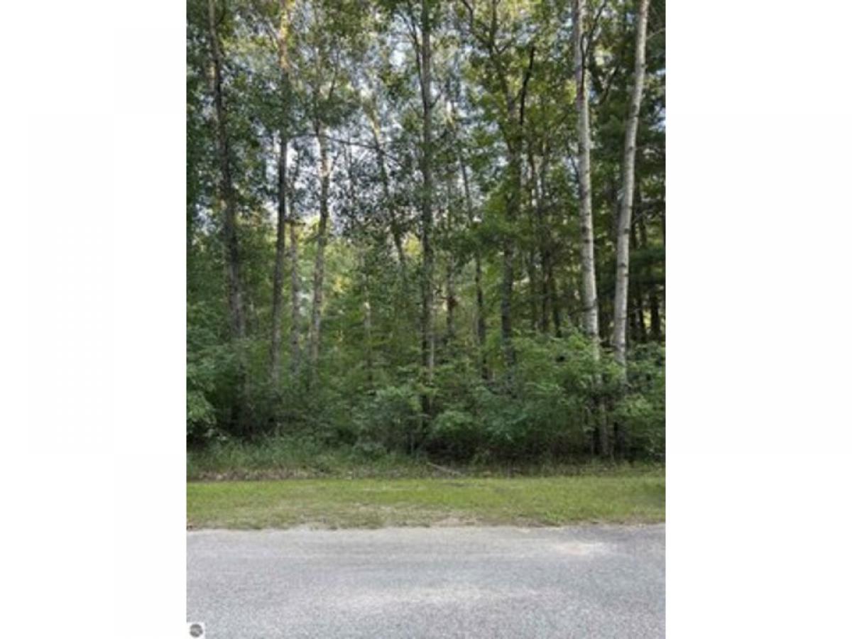 Picture of Residential Land For Sale in West Branch, Michigan, United States