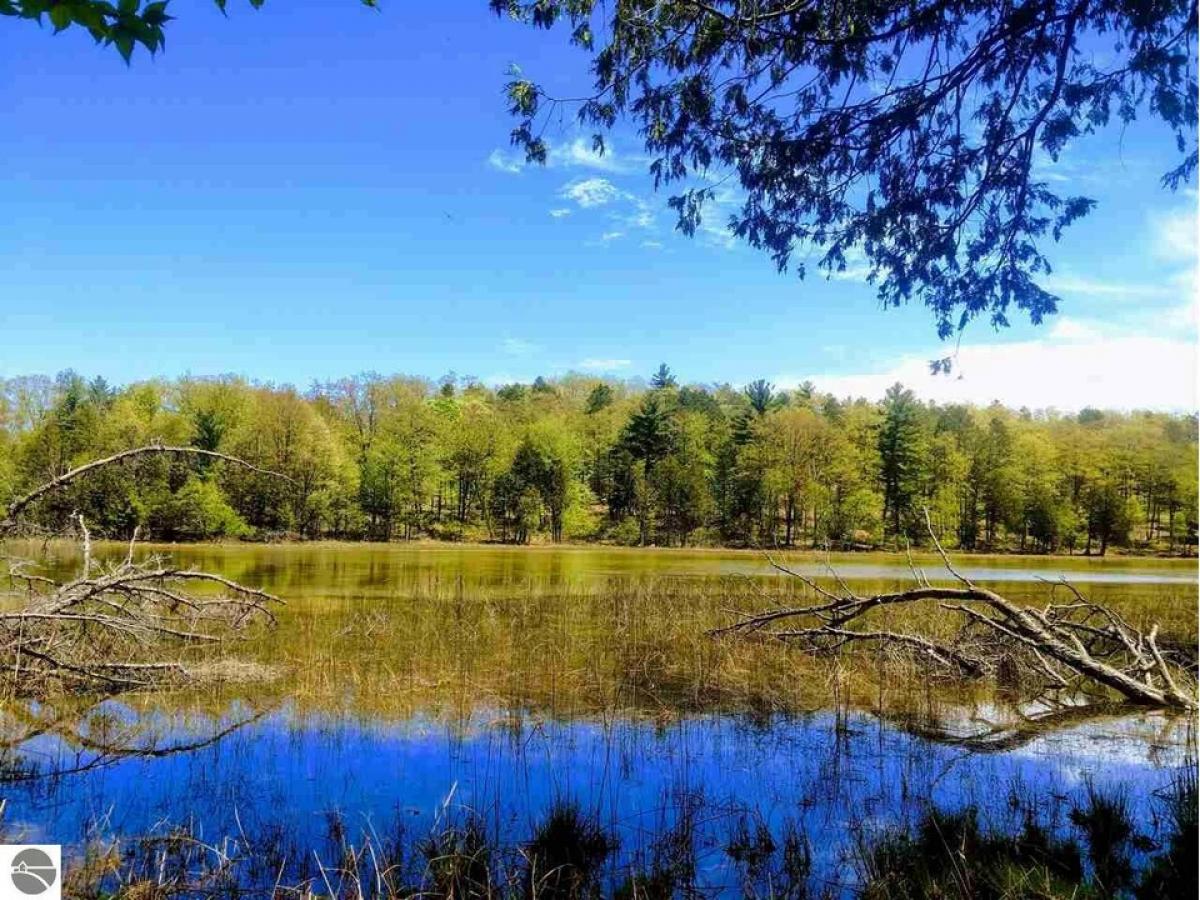 Picture of Residential Land For Sale in Williamsburg, Michigan, United States