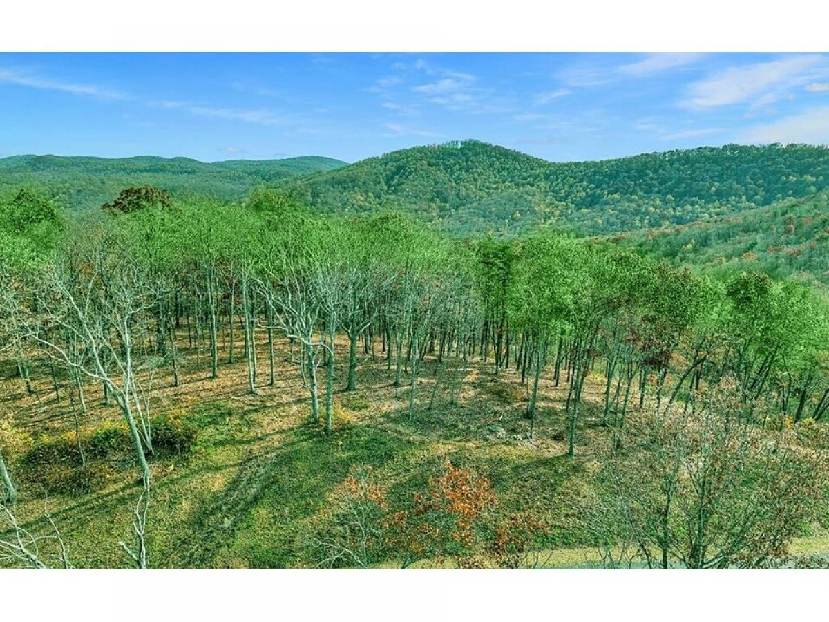 Picture of Residential Land For Sale in Talking Rock, Georgia, United States