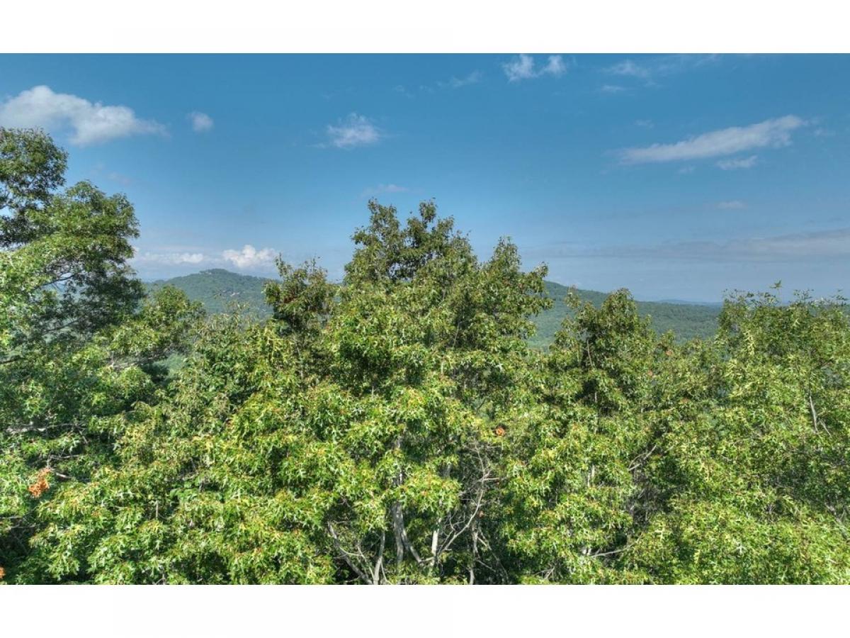 Picture of Residential Land For Sale in Blue Ridge, Georgia, United States