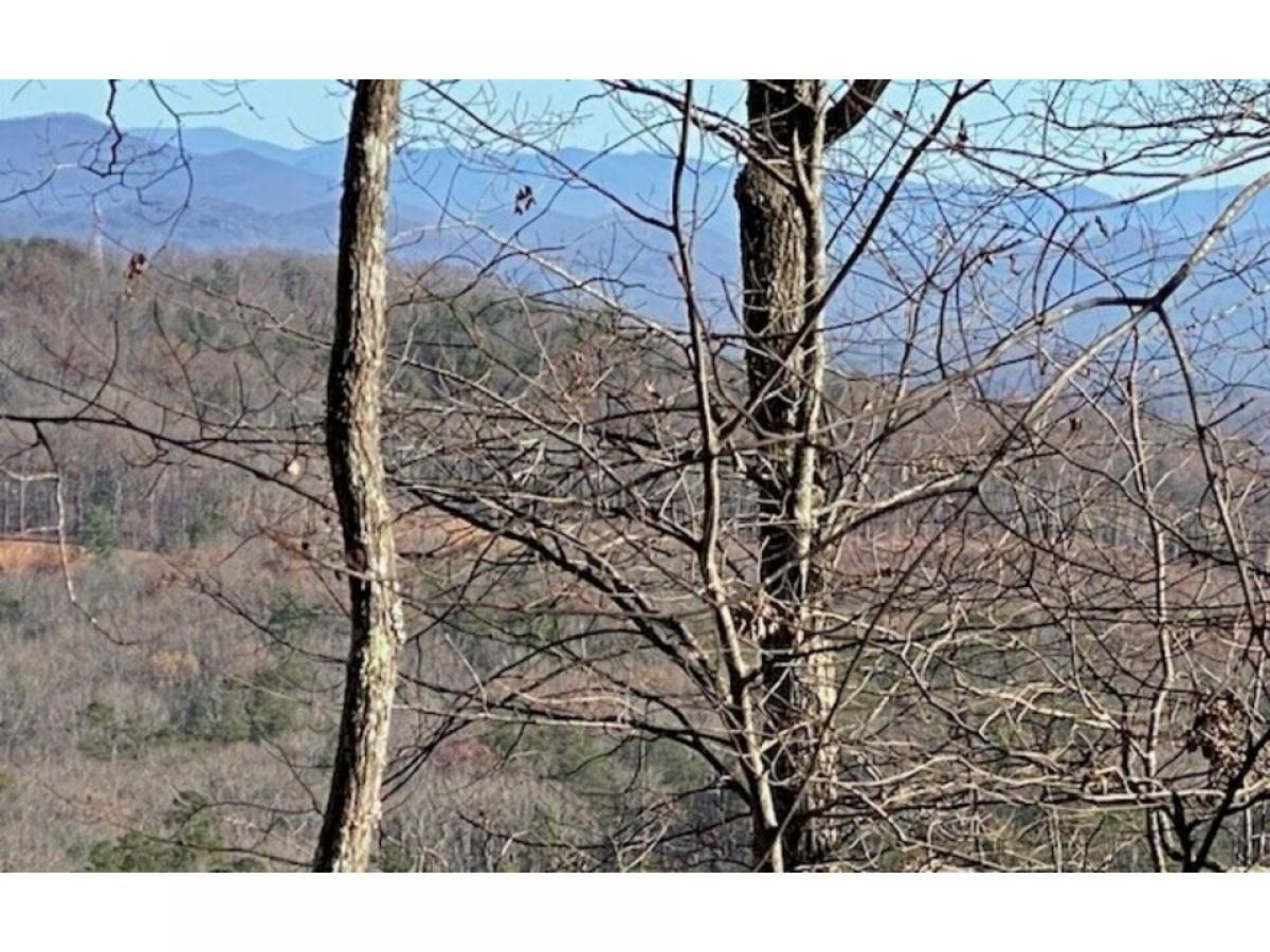 Picture of Residential Land For Sale in Blue Ridge, Georgia, United States