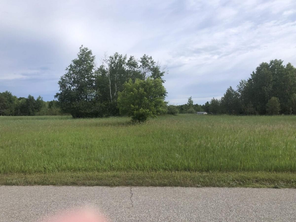 Picture of Residential Land For Sale in Farwell, Michigan, United States