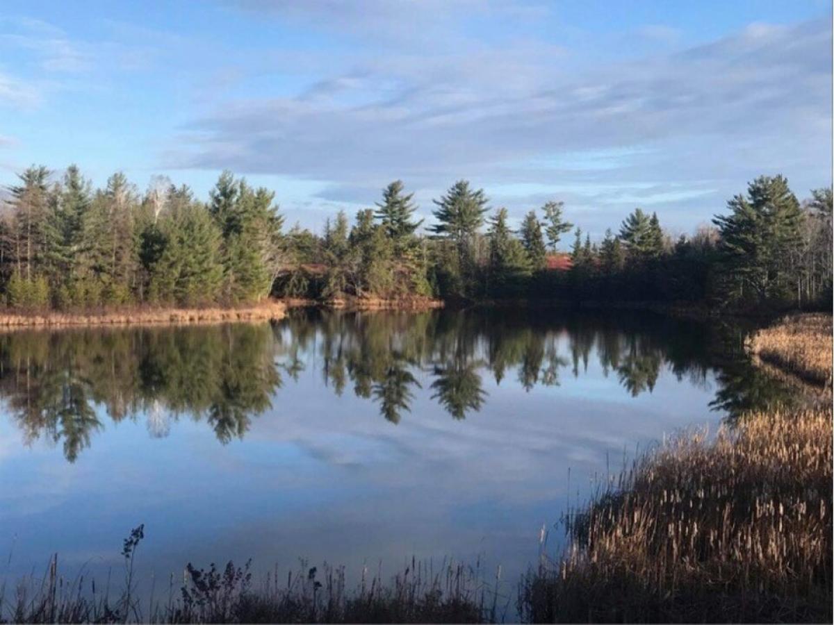 Picture of Residential Land For Sale in Salt Springs, Nova Scotia, Canada