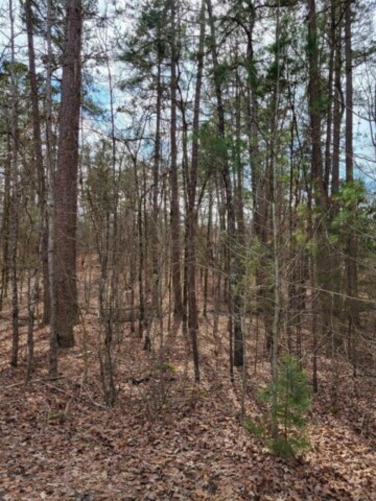 Picture of Residential Land For Rent in Hot Springs Village, Arkansas, United States