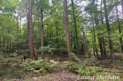 Residential Land For Sale in Fennville, Michigan