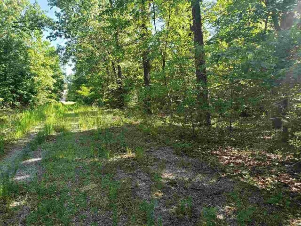 Picture of Residential Land For Rent in Cherokee Village, Arkansas, United States