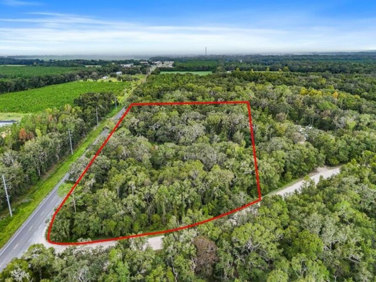 Picture of Residential Land For Rent in Trenton, Florida, United States