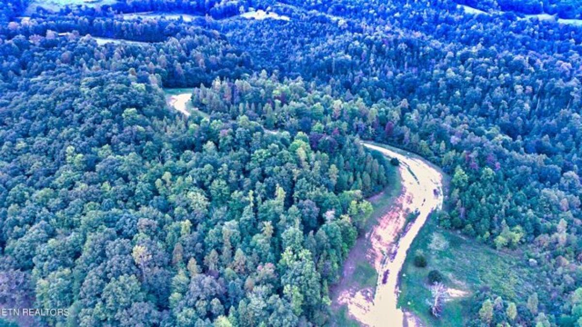 Picture of Residential Land For Sale in La Follette, Tennessee, United States