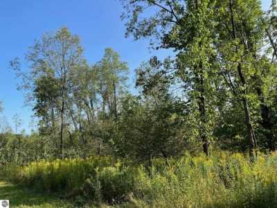 Residential Land For Sale in Tustin, Michigan