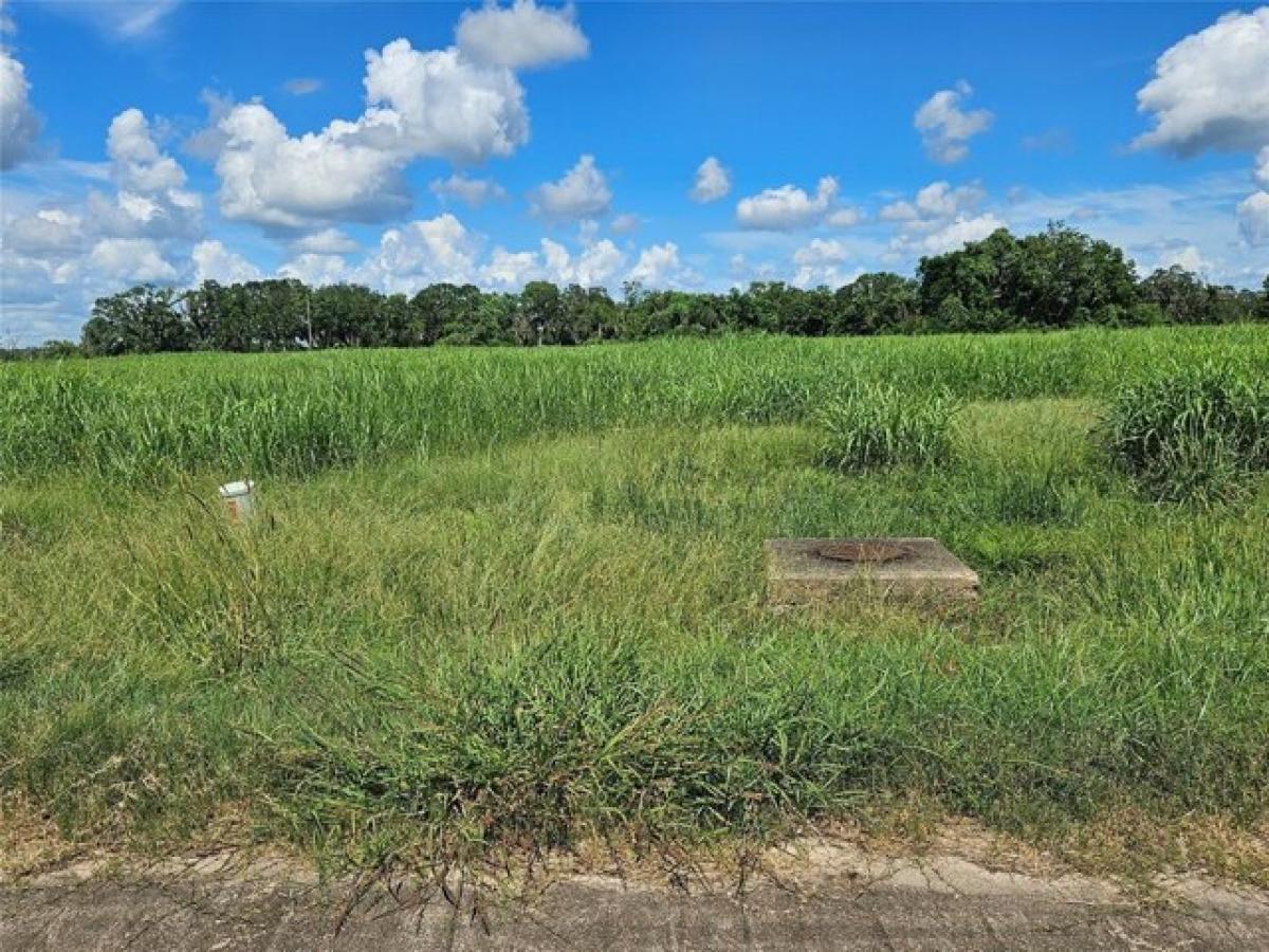 Picture of Residential Land For Sale in Angleton, Texas, United States