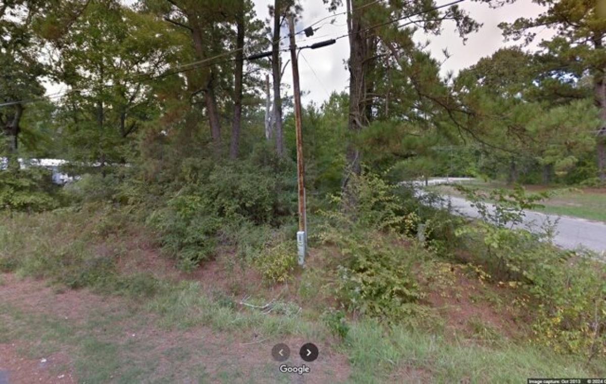 Picture of Residential Land For Rent in Trinity, Texas, United States