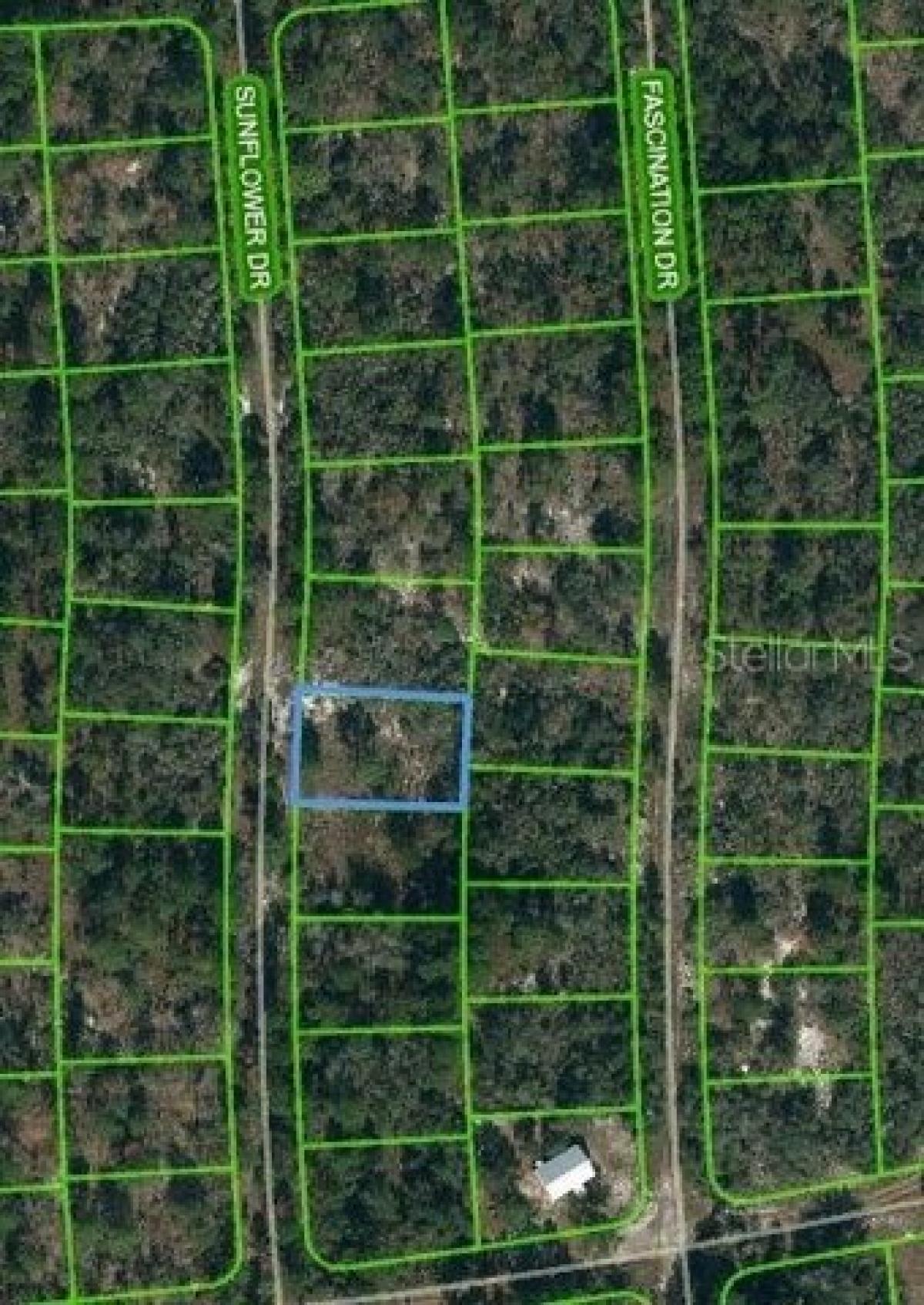 Picture of Residential Land For Sale in Lake Placid, Florida, United States