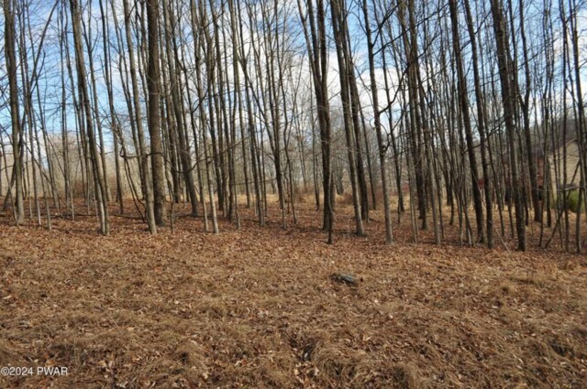 Picture of Residential Land For Rent in Lake Ariel, Pennsylvania, United States