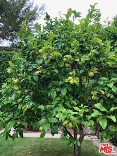 Home For Sale in Santa Monica, California